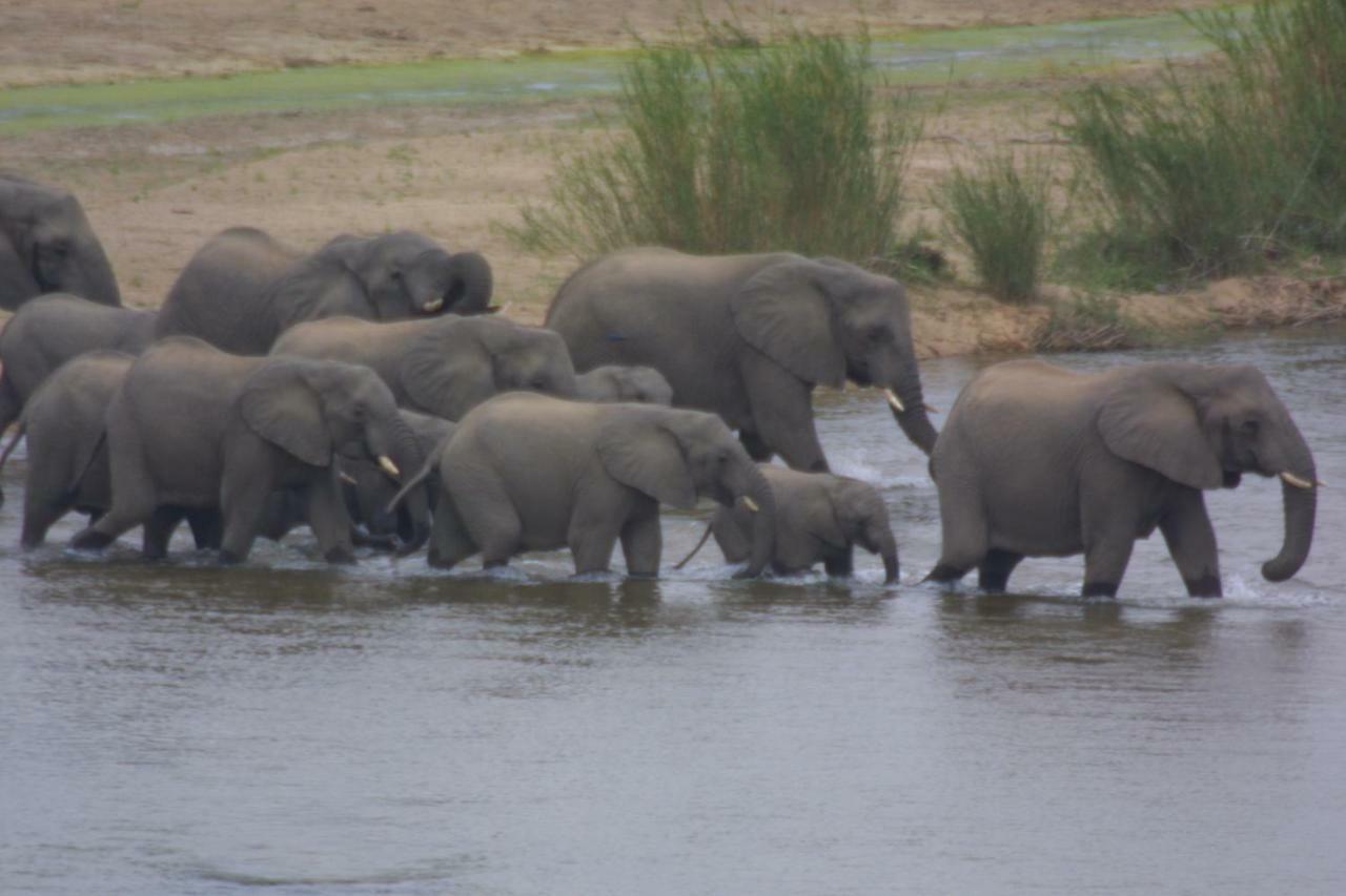 Njiri Lodge - Your Part Of Africa Marloth Park Ngoại thất bức ảnh