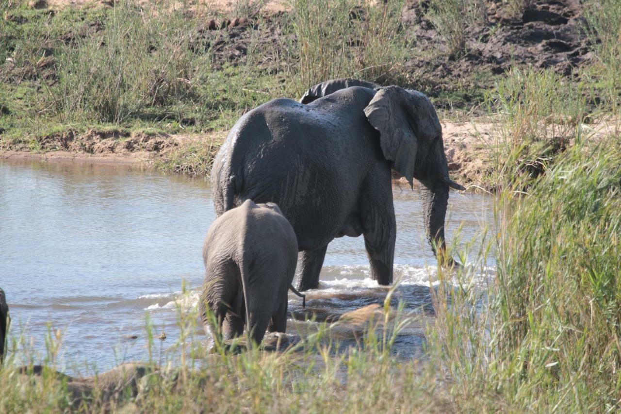 Njiri Lodge - Your Part Of Africa Marloth Park Ngoại thất bức ảnh